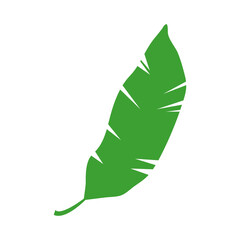 Jungle tropical green leaf, rainforest herbal element. Stock vector illustration isolated on white background. Can be used as an isolated sign, symbol or icon. Botanical plant flat vector illustration