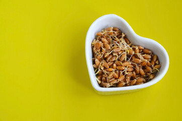 Sprouted wheat seeds in a white heart shaped bowl on a yellow background.Healthy diet, vegetarian food or superfood concept with copy space.