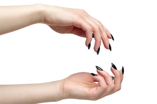Female hands with black nails manicure isolated on white background.