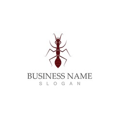 Ant vector illustration design