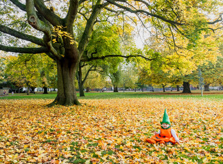 Baby Boy Sitting in A Park Dress As a Pumpkin