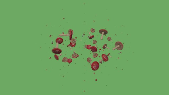 4 in 1: background, frame and two transitions from amanita mushrooms.