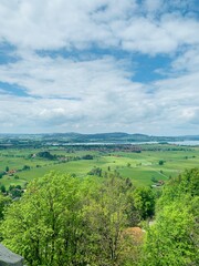 landscape with trees