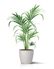 Fototapeta na wymiar 3d realistic vector floor house green plant, palm in white pot. Isolated on white illustration icon.