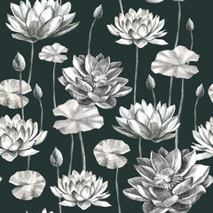 Lotuses pattern. Flowers and lotus leaves in pencil. Water lily. Pencil drawing of leaf stems and water lily buds.