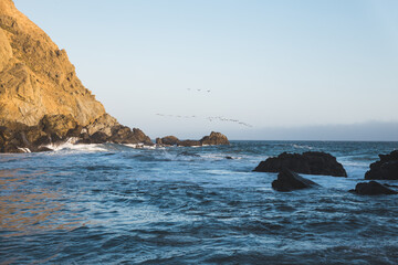 Birds flying at sunset in Big Sur, California