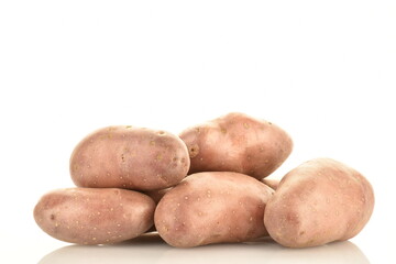 Several unpeeled raw potatoes, close-up, isolated on white.