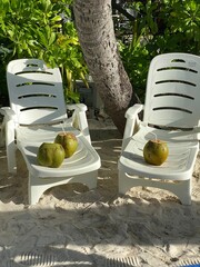 two chairs in the park