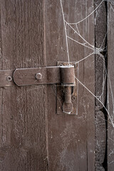 A close-up picture of a door hinge on a brown wooden door. Frosty cobweb