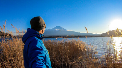 Man walking through golden grass at the side of Kawaguchiko Lake, Japan with the view on Mt Fuji,...