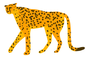 Cute cheetah, leopard or jaguar cartoon character jungle tropical animal. Vector illustration isolated on white background