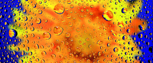 Macro of dew reflection flower in the nature (focus on the dew)