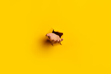 Woman's hand is stretched out, palm up and holding something from a hole in the wall on a yellow...