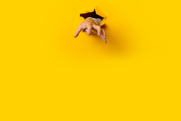 Woman's hand is extended and grabs something from a hole in the wall against a yellow background. Banner