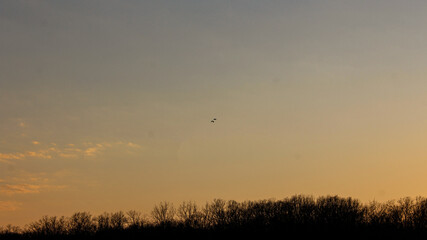 Sunset over the woods.