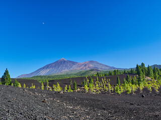 Volcanic landscape of el Teide on tenerife island, Spain. © Jens