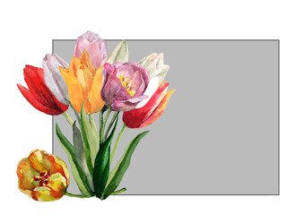 Bouquet of spring flowers of blooming tulips in a composition in a rectangular frame with a gray background. Hand drawn watercolor for design of cards, wedding invitations, print, packaging, wallpaper