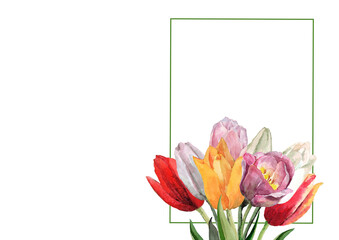 Bouquet of tulip flowers in a spring composition with a rectangular frame. Hand drawn watercolor on white background for design of cards, wedding invitations, print, packaging, wallpaper, banner.