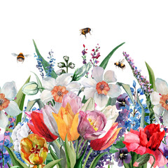 Coupon seamless pattern of wild flowers cornflowers, poppies, daffodils, tulips with buds, leaves and flying bees. Hand-drawn watercolor painting on white background for textiles, fabrics, prints.