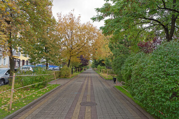 Pushkinskaya Street in autumn day. On the street there are cars