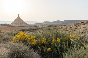 the Bardenas Reales desert in northern Spain with the Castildetierra cliff and yellow wildflowers