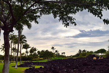 ハワイ島の夕暮れ