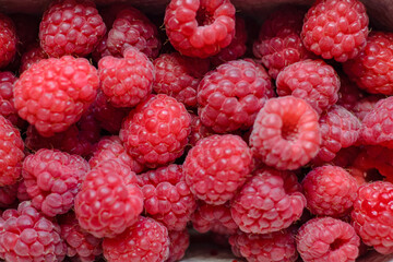 a basket of fresh juicy red raspberries