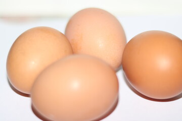 eggs on white background
