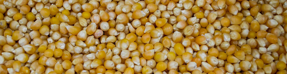 Banner corn grits groat background. Top view, closeup