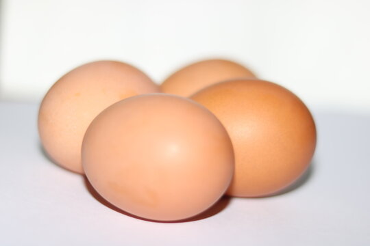 close up image of egg