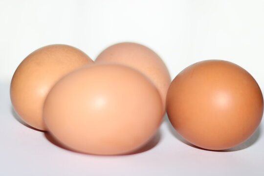 egg closeup image background