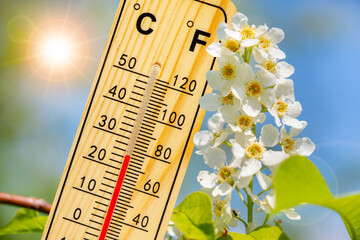 warm temperature at spring with fine weather and sun