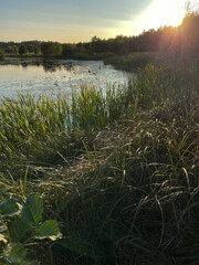 morning on the river