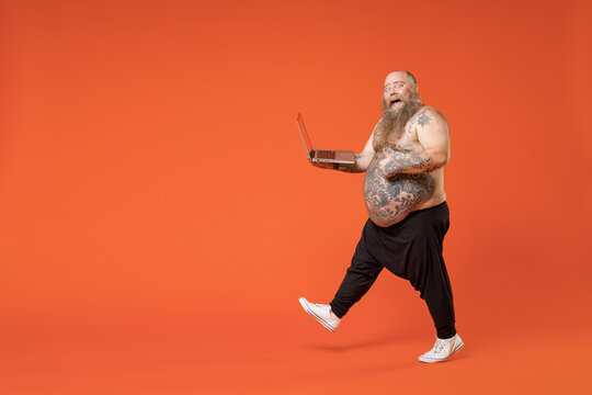 Full Length Side View Fat Fun Pudge Obese Chubby Overweight Tattooed Bearded Big Belly Man In Pants Naked Torso Hold Laptop Pc Computer Walk Show Thumb Up Gesture Isolated On Orange Background Studio.