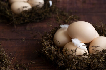 Conceptual still-life with hen eggs in nest over dark background