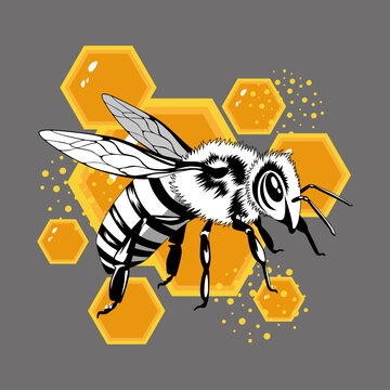 Vector image of a bee on an abstract background.