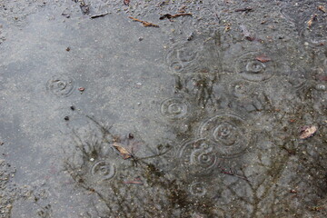 rain drops on puddle