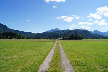A straight asphalt farmtrack leads trough fresh green meadows to a wooded mountain range in the background near Neuschwanstein Castle, Bavaria, Germany.