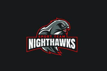 Aggressive Nighthawk Sport Team Logo