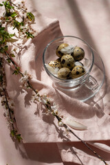 Easter decorations - quail eggs in a tea cup on the table, with blossom plum branch