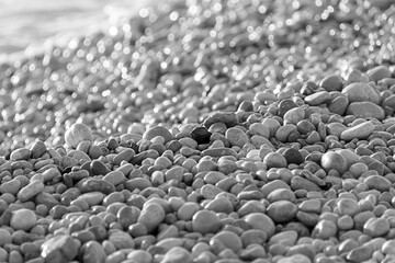 guijarros en blanco y negro