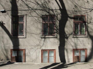 Fototapeta na wymiar old windows in town