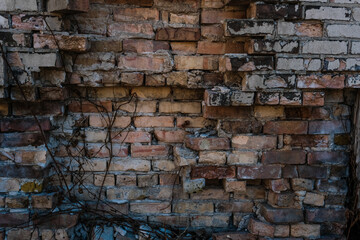 Urban decay brick wall with textures, colors and vines

