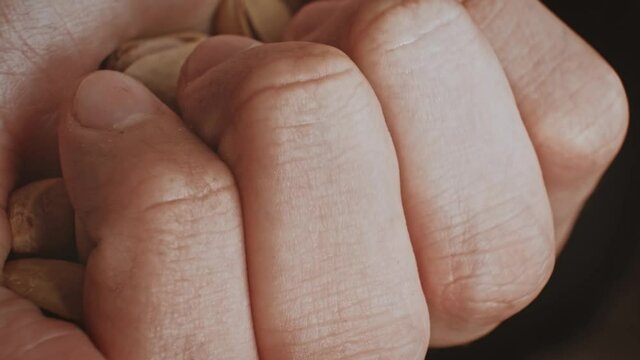 Salted Pistachio nuts a lot on childs hand macro shot, closing the palm