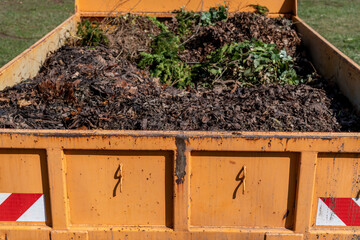 Grünschnitt in einem Container