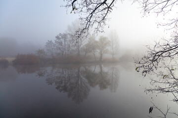 Foggy morning over the calm river, silhouettes of trees, tree brunches in the foreground.