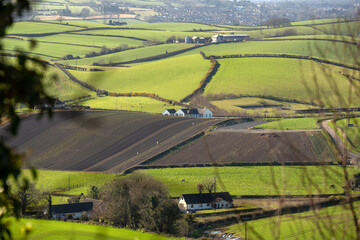 Killynether Country Park views