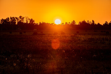Sunset in the field.
