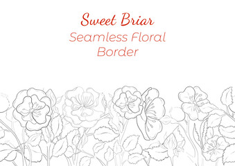 Seamless Border Made with Hand Drawn Roses