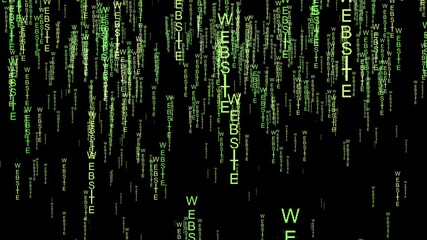 Website data code on the web